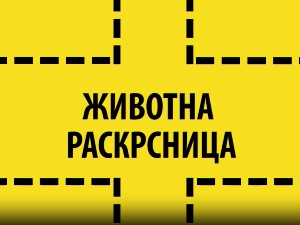 Животна раскрсница:	Лаж