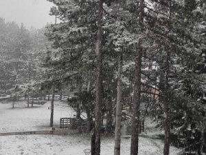 Снег пада на Тари и Копаонику; на путевима дуж речних токова и у котлинама могућа поледица