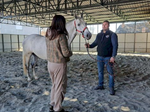 Знање имање: Младенци