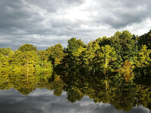 Oблачно, суво и ветровито – температура до 15 степени