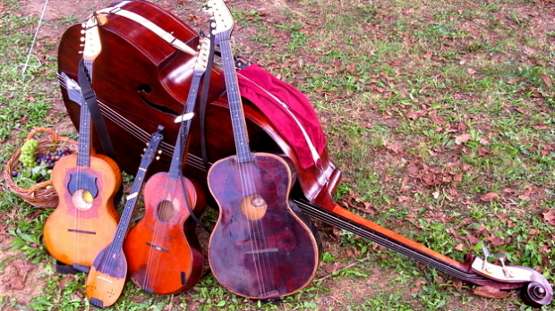 Тамбурица златна жица