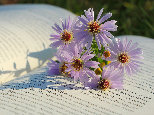 Пренајбољи српски