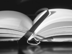 Мирјана Стефановић: „Човек за вољење”