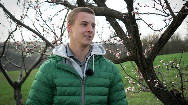 # Зона талента