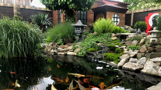 Екологери: Суботичка зен башта (R)