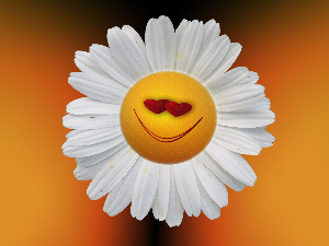 Најдужа студија о срећи на свету наставља се и после 88 година