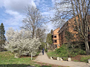 После слабог мраза, променљиво облачно са сунчаним интервалима