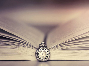 Сатирички роман о Београду и сећање на Божа Копривицу 