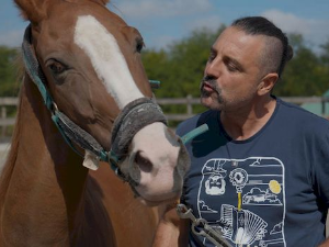 Ветеринарска мисија: Коњарење
