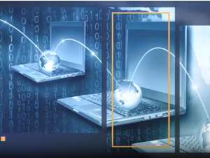 Наука 50: Софтвер