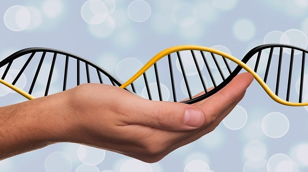 Корак ка науци