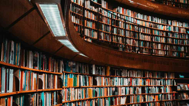 Културни кругови: Дневни магазин културе