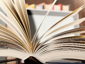 Поезија Звонка Карановића и есеји Милана Кашанина