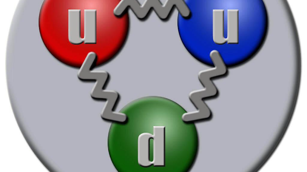 Породица кваркова