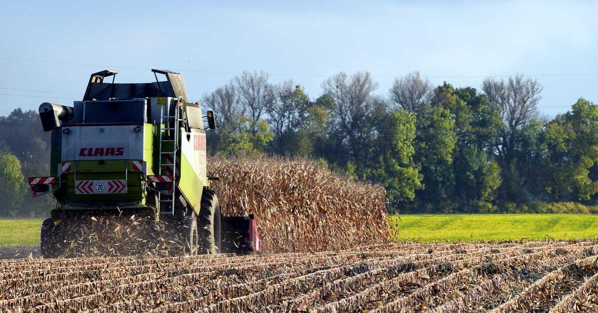 Стручњаци саветују ратаре: Са сетвом кукуруза не треба журити, обавезно сачекати да се земљиште загреје