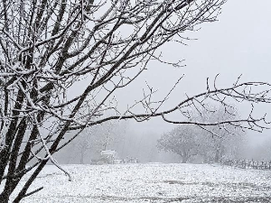 Зима не одустаје – снег на планинама, у већем делу земље хладно и кишовито