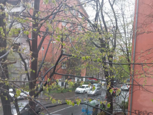 Облачно, местимично с кишом – највиша температура до 14 степени