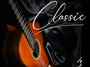 Бошко Радојковић, Guitar Art Фестивал