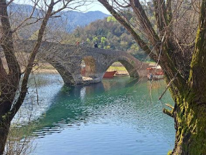 Ријека Црнојевића - Од престонице до провинције