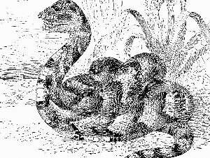 Митолошки речник – Змија 2