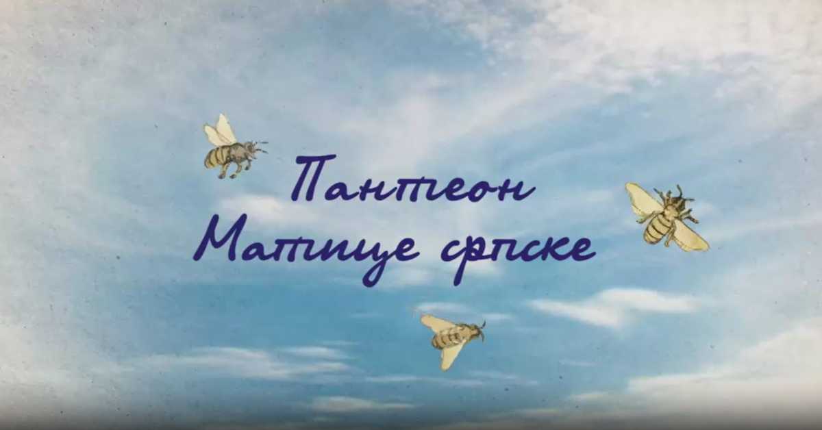 Пантеон Матице српске: Сава Текелија, 5. еп.