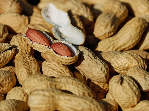 У устима откривени микроби који могу да разоружају протеине који изазивају алергију