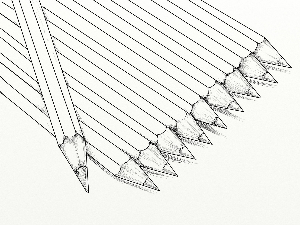 Поезија: Радомир Мићуновић 8