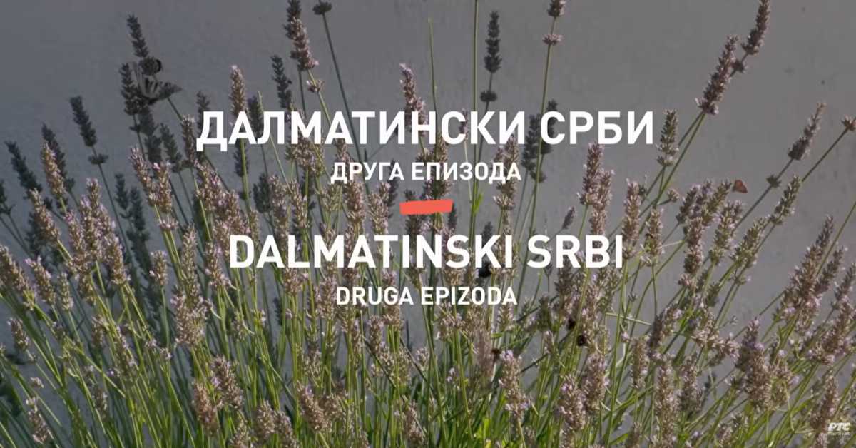 Култура Срба у Хрватској: Далматински Срби, друга епизода