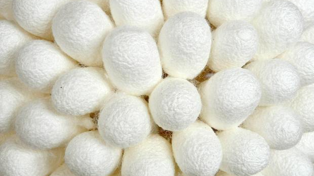 Пут свиле: Историја свиле 