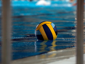 Нови Београд иступио из Регионалне ватерполо лиге