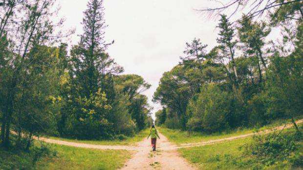 Чекајући ветар: Еколошки магазин