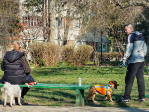 Јутро зимско, дан сунчан с пролећном температуром