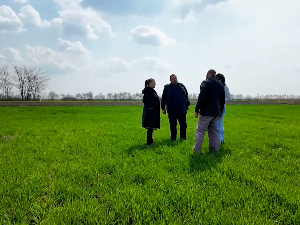 Берза пшенице: Како блискоисточна криза утиче на светско и домаће тржиште житарица?