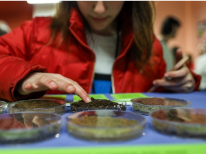 Центар за промоцију науке