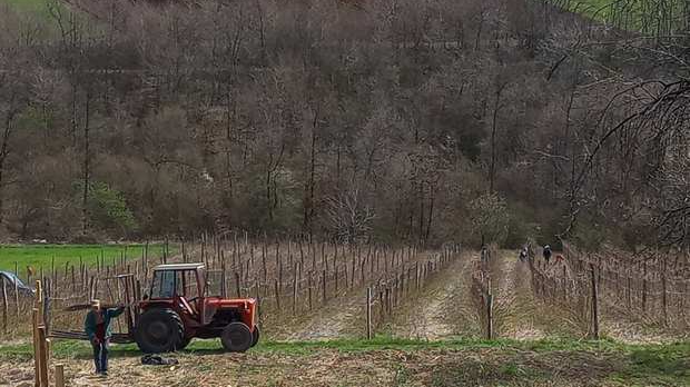 Говори да бих те видео: Без слоге нема ништа 