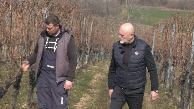 Карловачка резидба