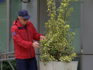 Херој из комшилука – поштар који је оставио траг и после пензије