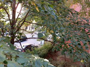 После хладног јутра, сунчано и топлије - температура до 20 степени