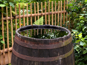 Еколошки магазин