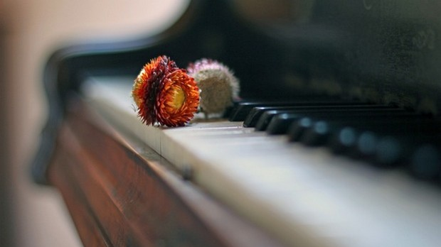 Избор недељног хита класичне музике