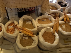 Колико су старе сорте семена важне за очување квалитета хране?