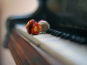 Избор недељног хита класичне музике