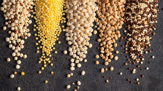 Киноа, спелта, просо: да ли нас древне житарице заиста чине здравијима