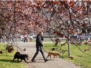 Сунчани интервали и слаб ветар, највиша дневна температура 23 степена