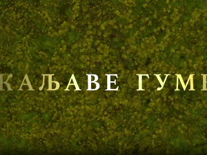 Каљаве гуме, 2-10