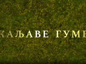 Каљаве гуме, 3-10