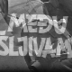 Међу шљивама