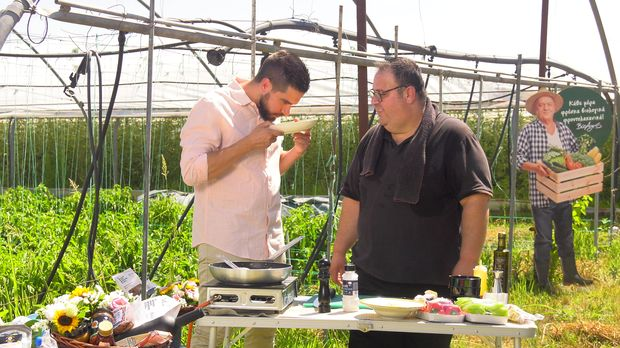 Гастрономад