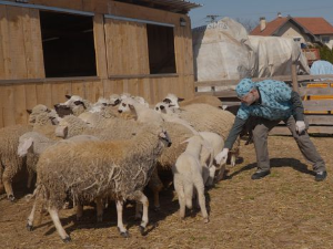Ветеринарска мисија: Буђење природе