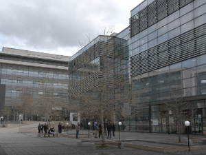 Суд у Приштини одредио Дејану Пелевићу из Сочанице једномесечни притвор